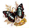 Butterfly bermudan